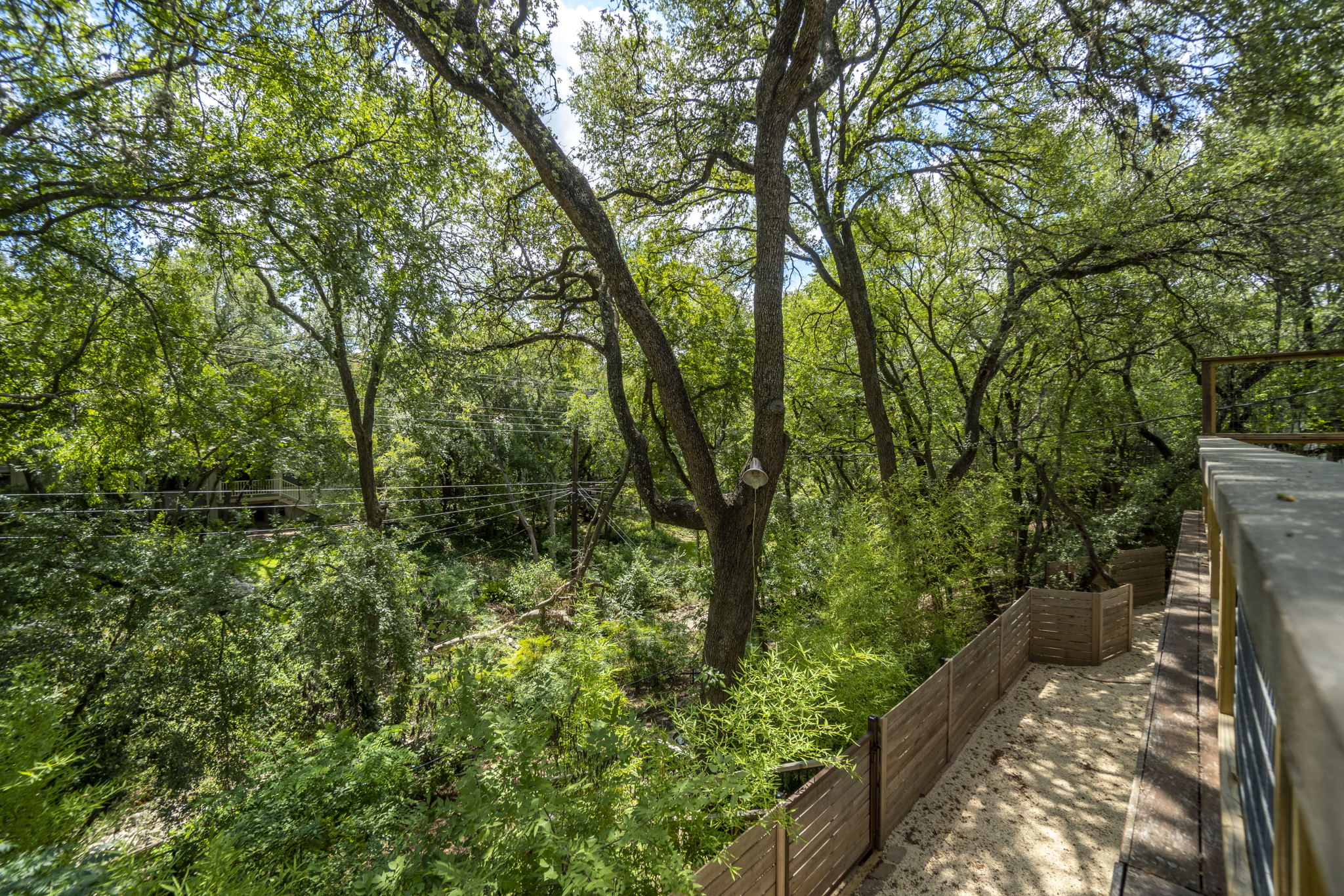 2707 Pecos St, Austin, TX 78703, USA Photo 51
