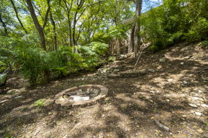 2707 Pecos St, Austin, TX 78703, USA Photo 57