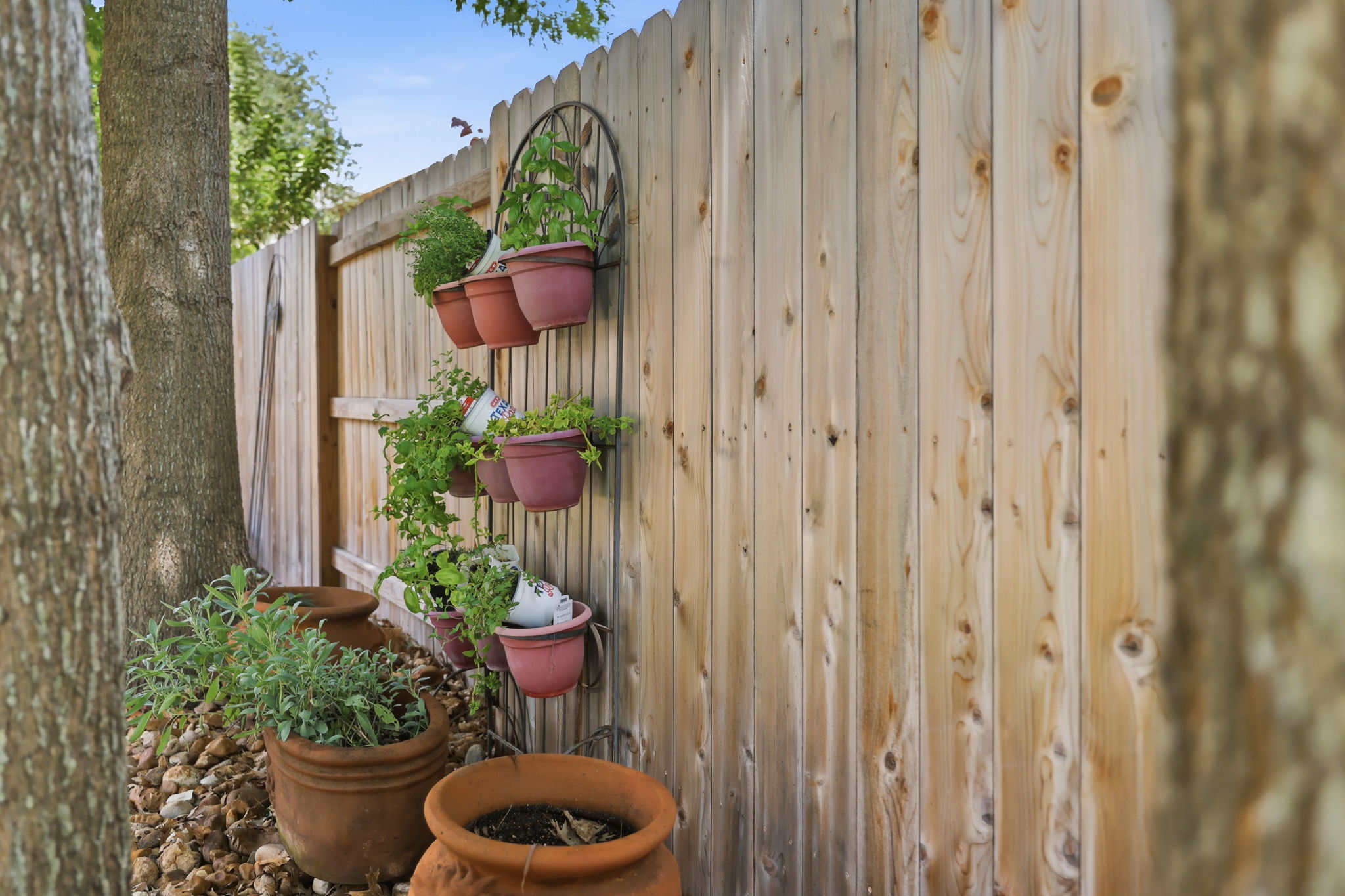 New Fence