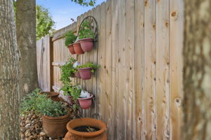New Fence