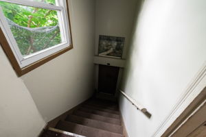 Photo 57