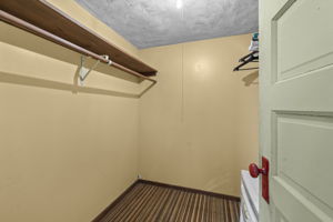  Photo 50