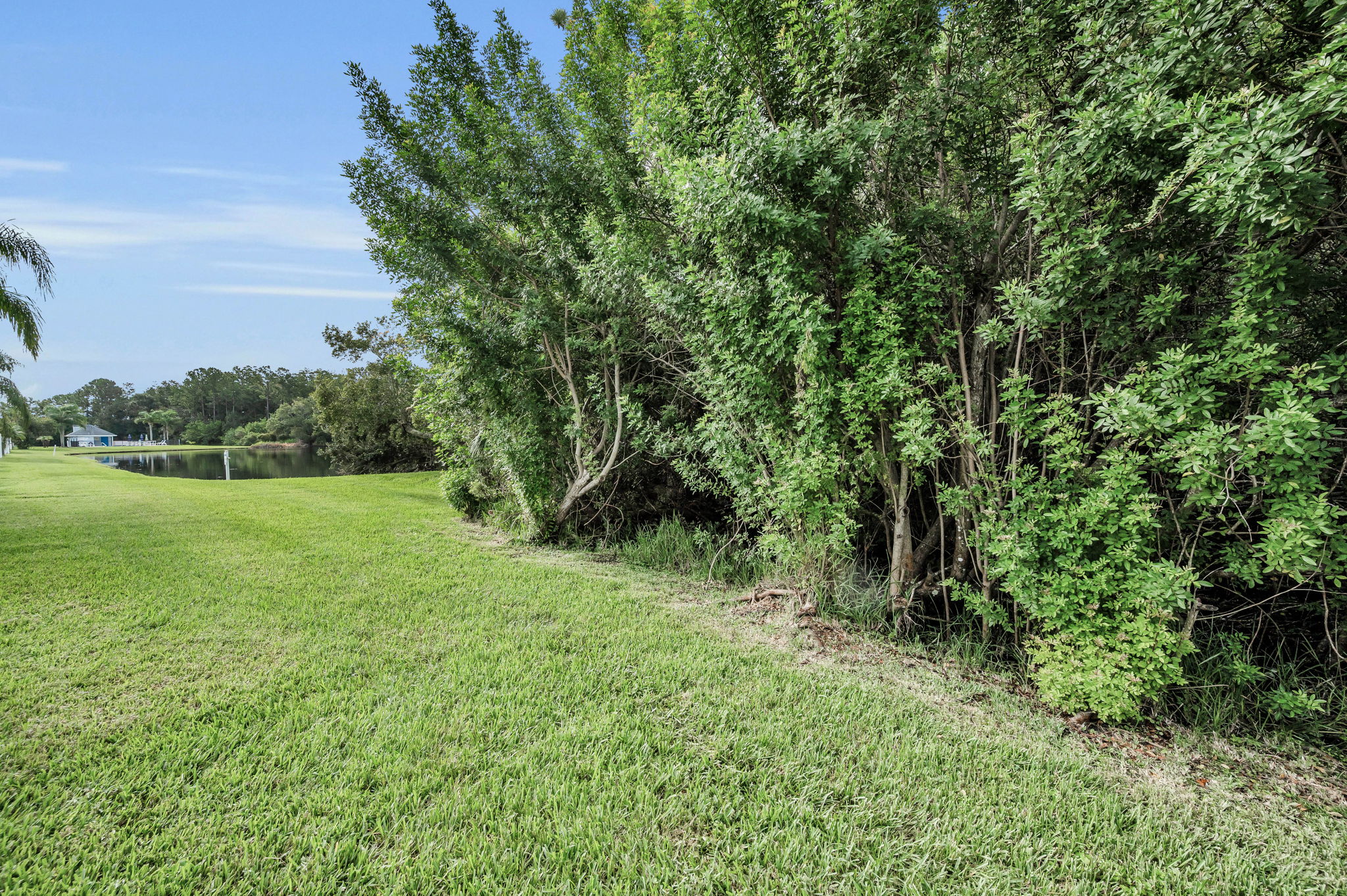 Backyard5