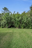 Backyard2
