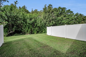 Backyard4