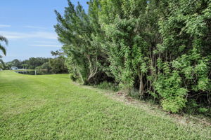 Backyard5