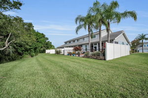 Backyard8