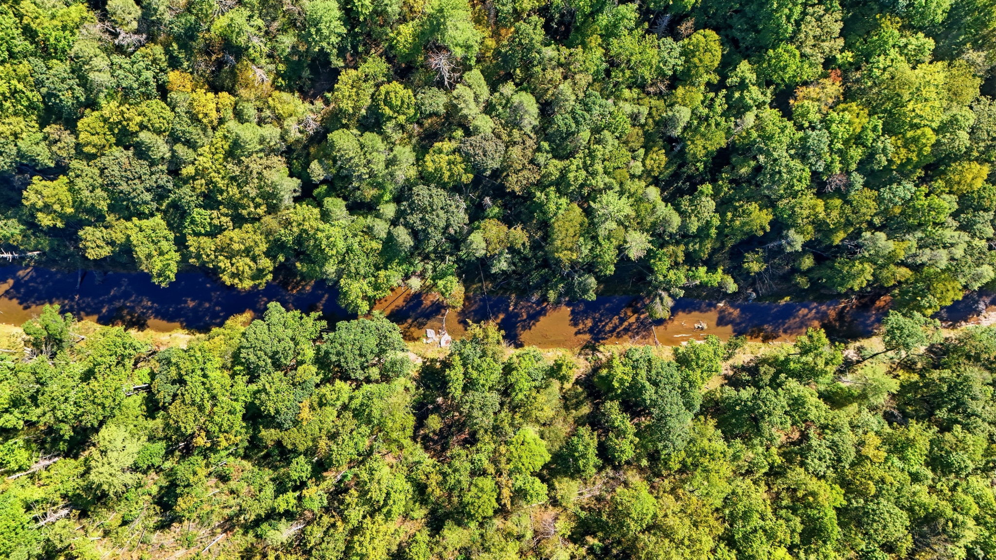 008_DJI_20260929030017_0419_D