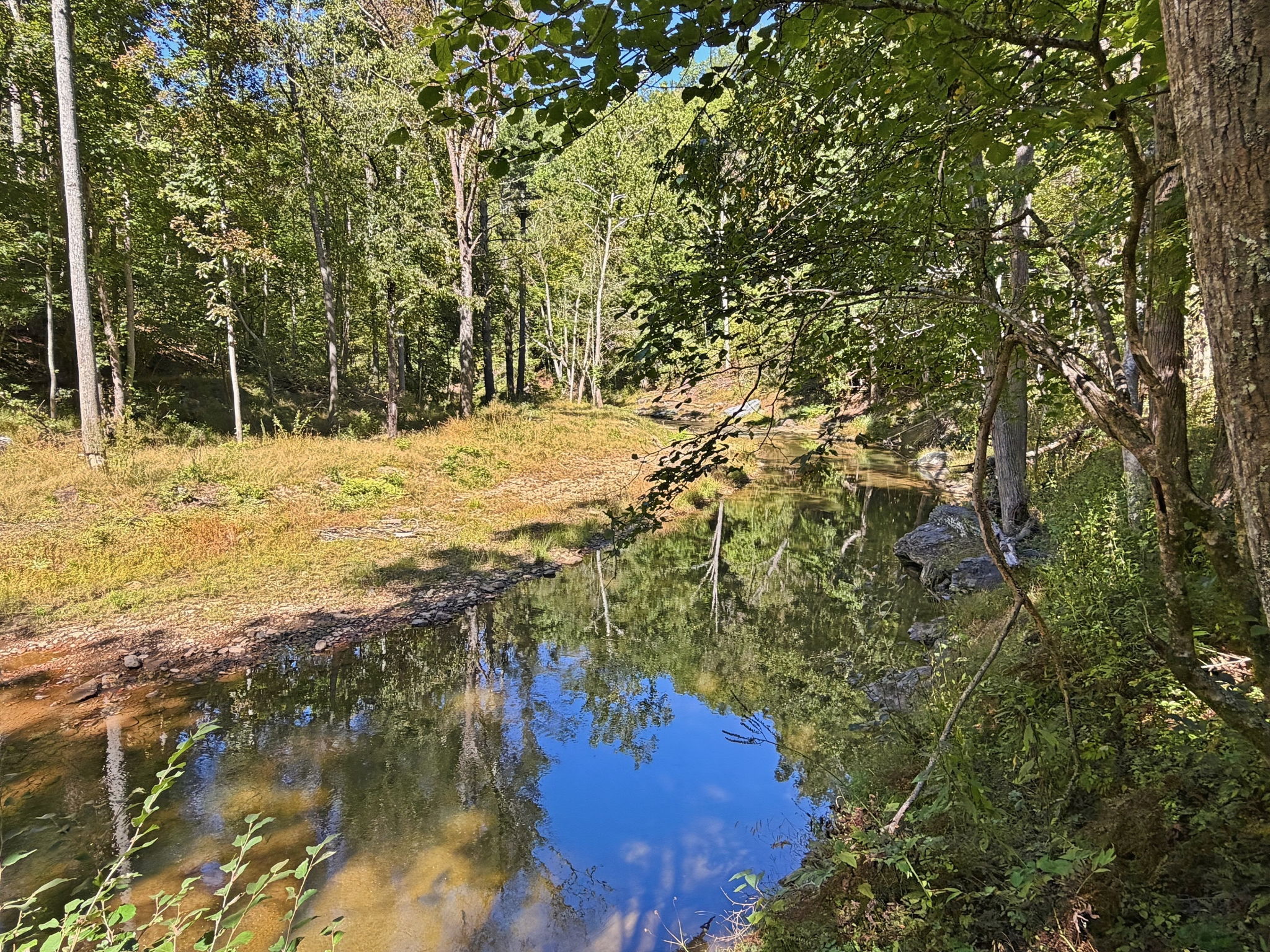 004_IMG_1279