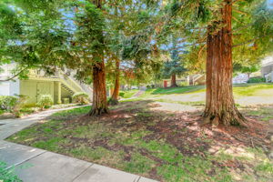 052_ 2712 Buena View_
