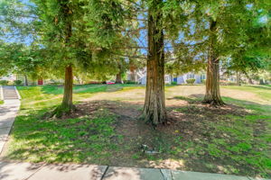 053_ 2712 Buena View_
