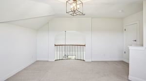 Neblina Ct-S1208-021.jpg