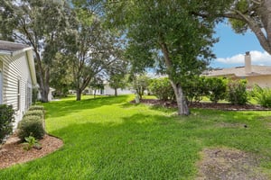 Racquet Cir-S0707-035.jpg