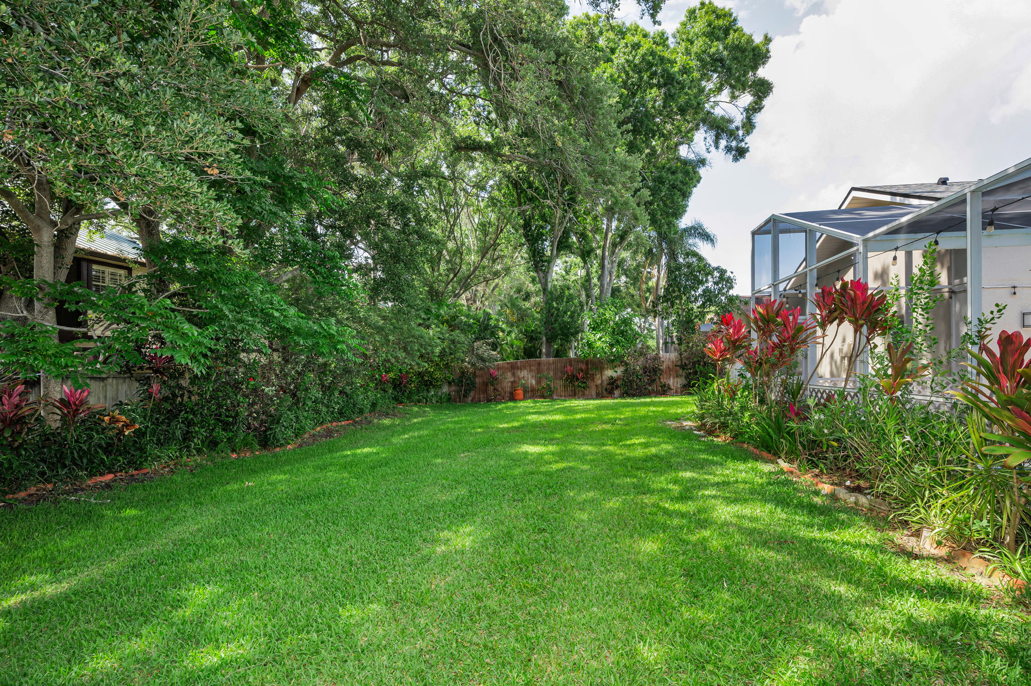 Backyard4