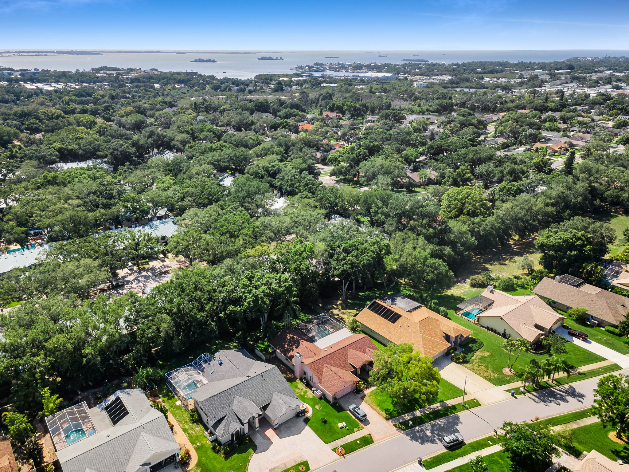 Aerial (15)