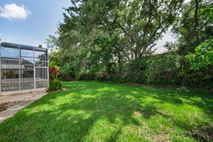Backyard1