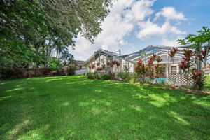 Backyard3