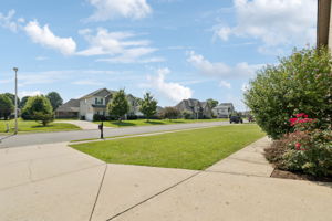  Photo 0