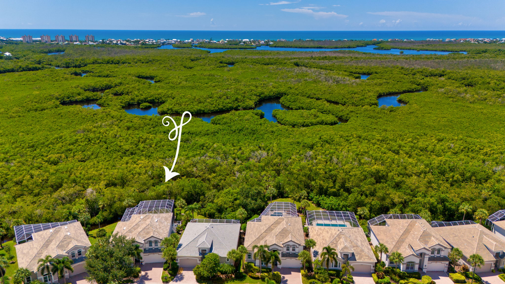 Aerial - Protected Preserve backdrop