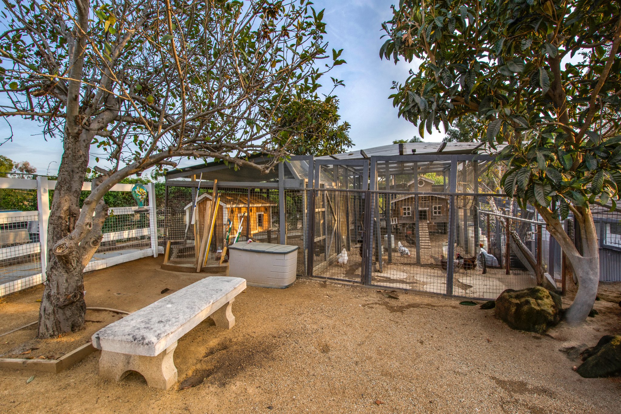 Custom Chicken Coop