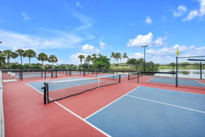 Pickle Ball