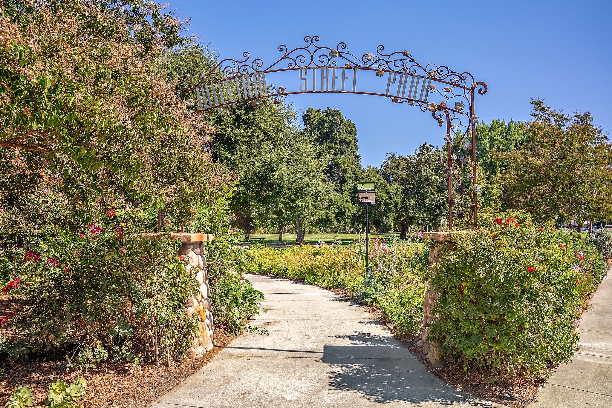 William Street Park