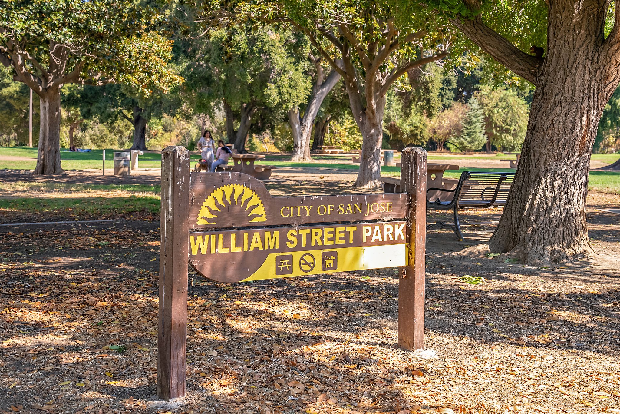 William Street Park