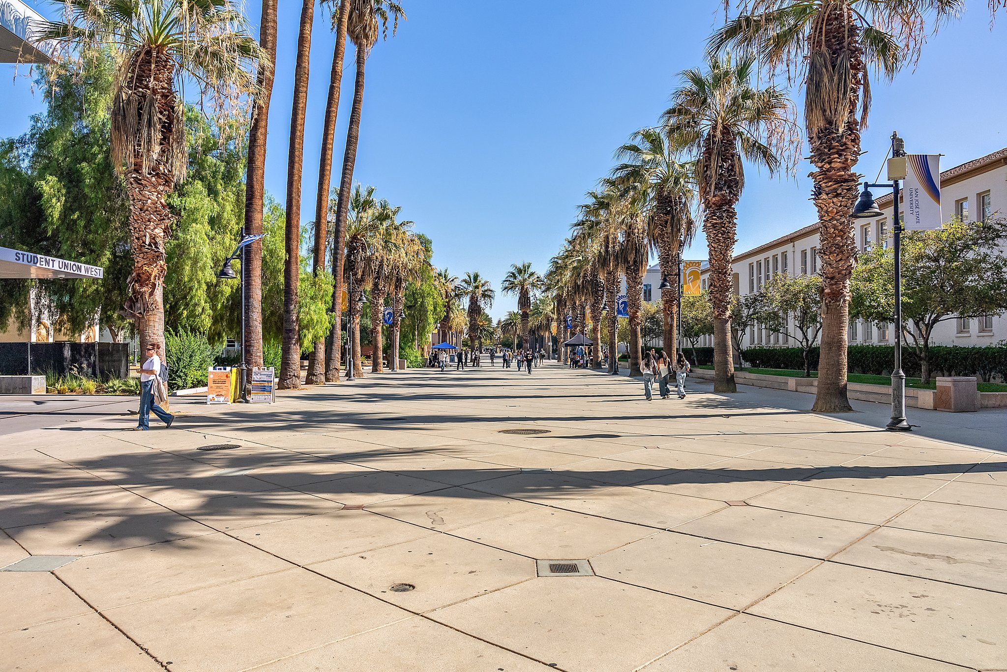 San Jose State University