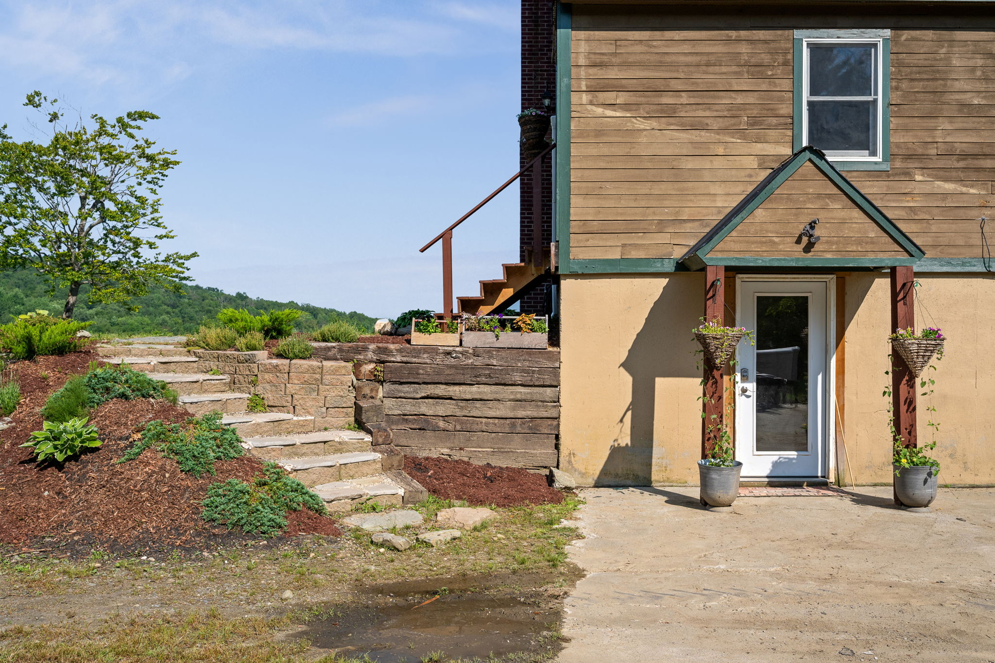  Photo 41