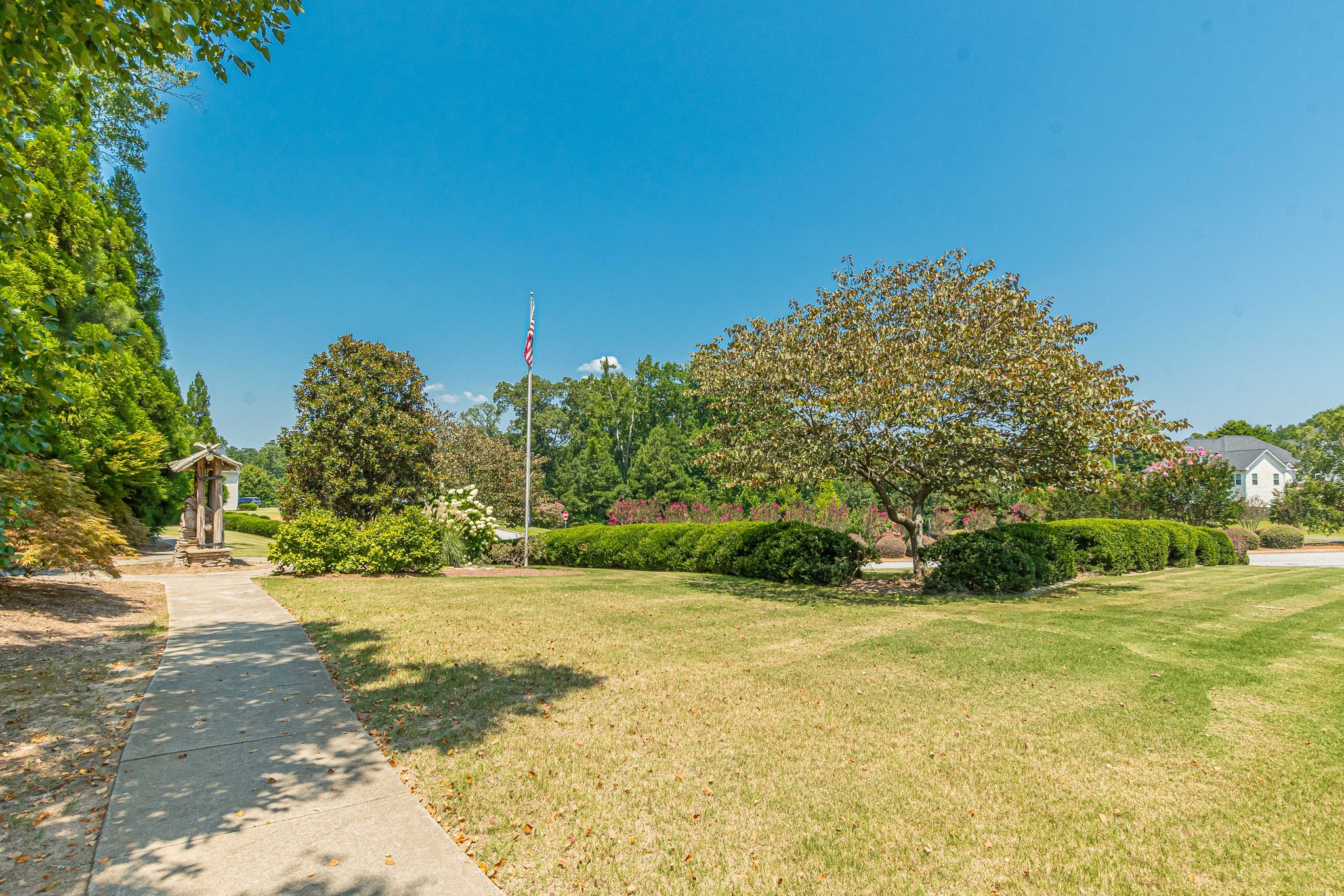  Photo 59