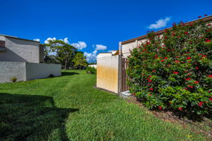 Backyard2