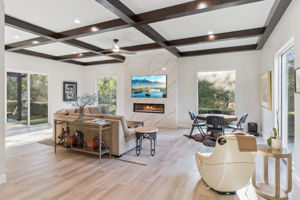 Additional Great room with fireplace