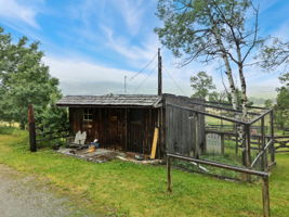  Photo 12