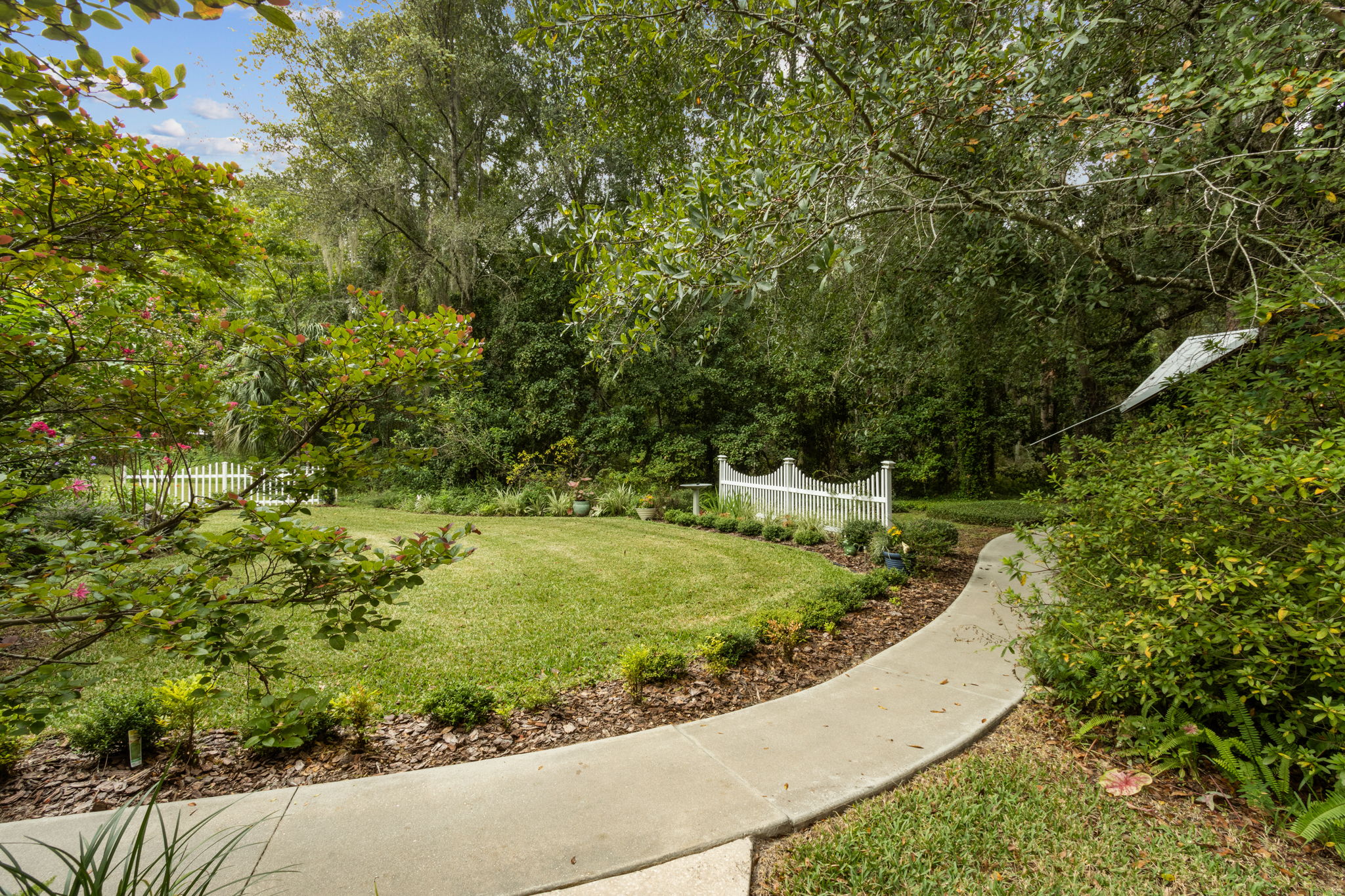 Backyard
