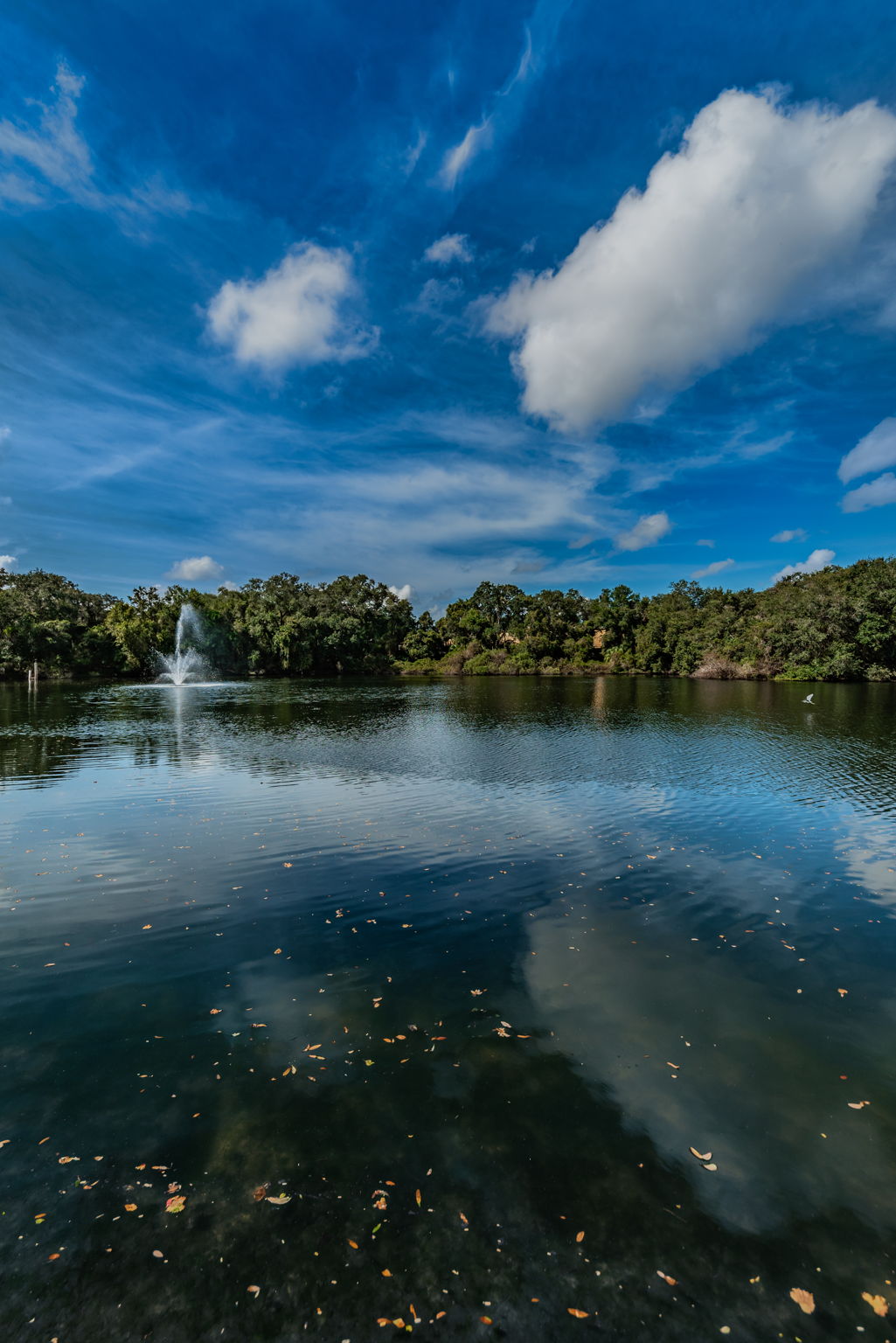 6-Community Pond