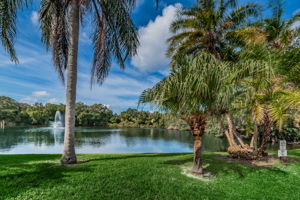 4-Community Pond