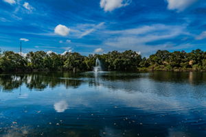 5-Community Pond