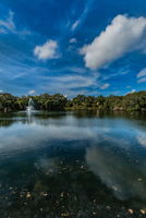 6-Community Pond