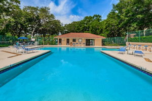 12-Pool