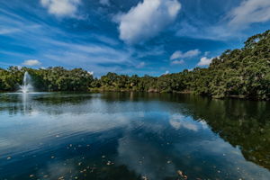 30-Community Pond