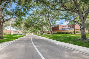 31-Tree Lined Street