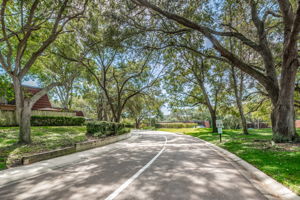 32-Tree Lined Street