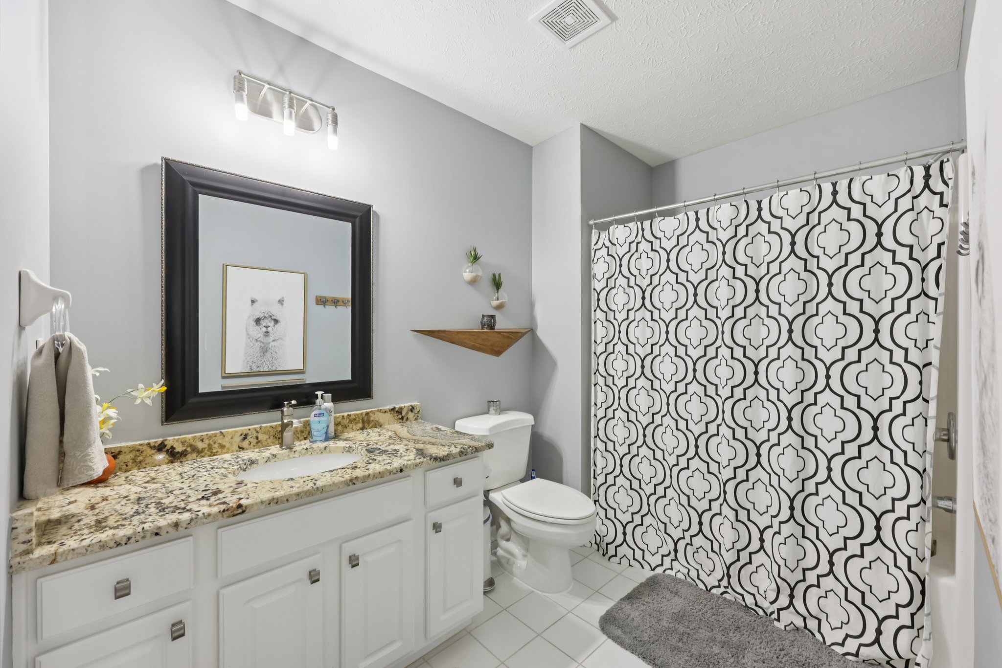 Matt Ct-S3011-091.jpg