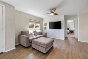 Living Room (1)