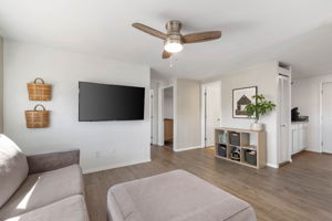Living Room (3)