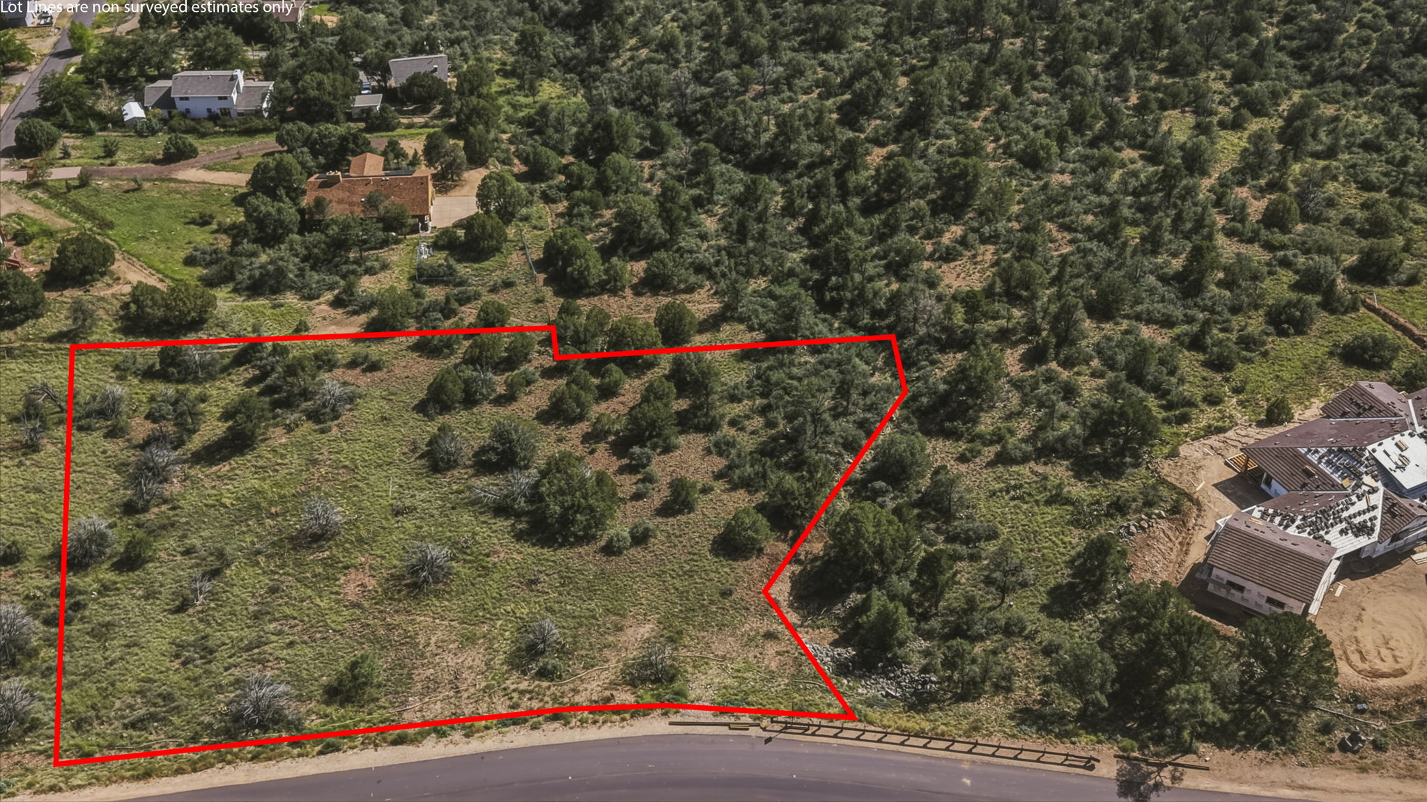 Birds Eye Lot Line