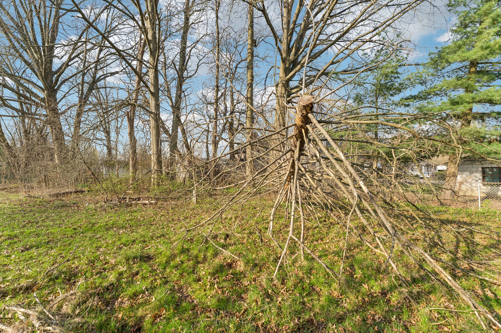 Beck St-S1104-043.jpg