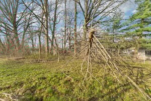 Beck St-S1104-043.jpg