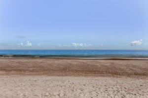 Amelia Island beaches are award winning.