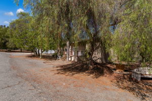  Photo 46